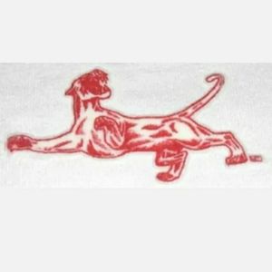 10 University of Houston Cougars 3 inch Lextra Iron-On Transfer Patch Applique